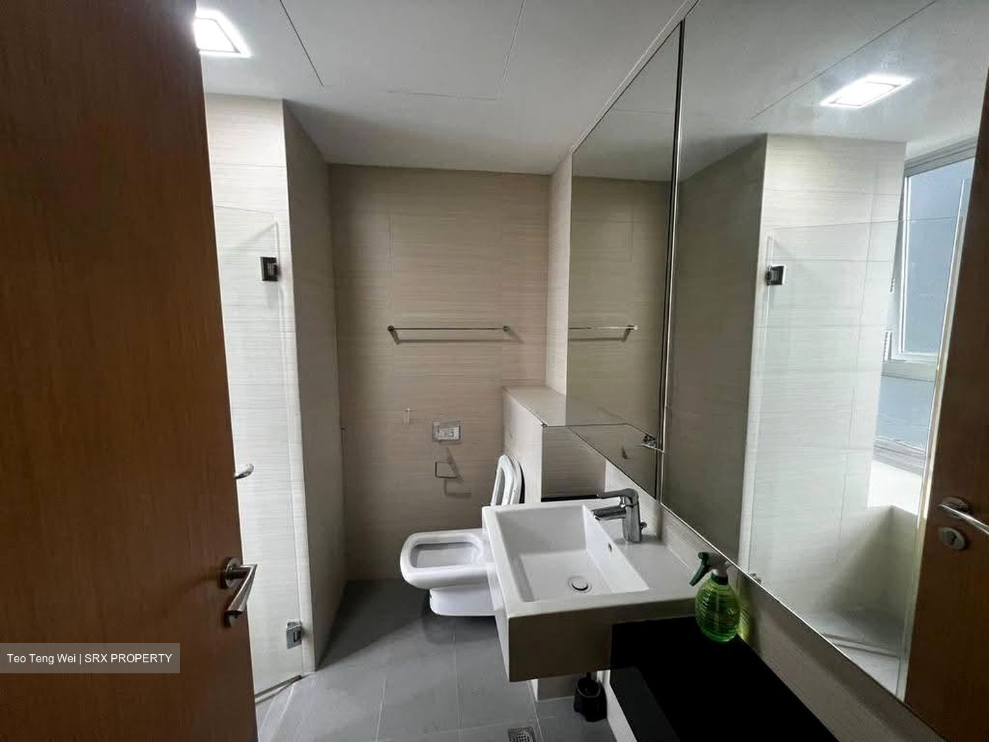 Oasis @ Elias (D18), Condominium #626052351